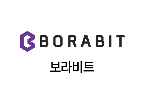 주식회사 보라비트