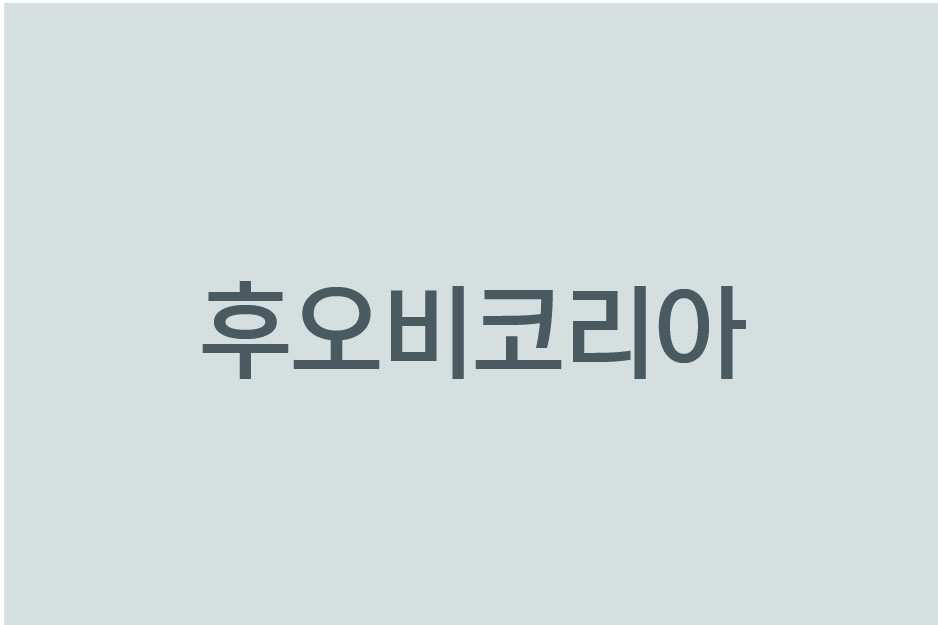 후오비 주식회사